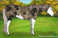 Horse Color:Silver Bay Ice Dun Splash 