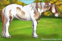 Horse Color:White Spotted Red Onyx Tobiano Varnish
