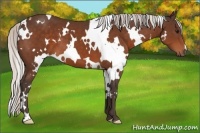 Horse Color:White Spotted Silver Brown 