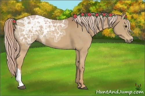 Horse Color:Palomino Ice 