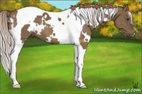 Horse Color:White Spotted Chocolate Palomino Tobiano 