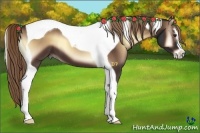 Horse Color:Liver Red Onyx Sabino Tobiano 