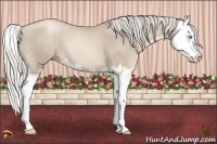 Horse Color:Chocolate Palomino Pearl Splash