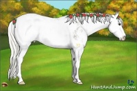 Horse Color:Chocolate Palomino Mushroom Sabino Varnish 