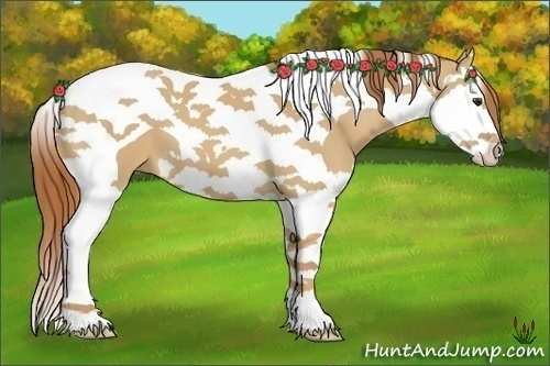 Horse Color:Red Dun Splash Tobiano 