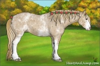 Horse Color:White Spotted Red Dun Roan 