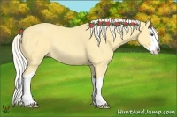 Horse Color:Palomino Dun Sabino Splash Rabicano 