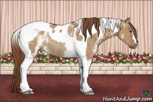 Horse Color:White Spotted Red Dun Tobiano Rabicano 