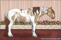 Horse Color:White Spotted Red Dun Tobiano Rabicano