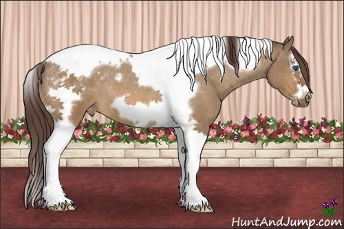 Horse Color:Bay Dun Splash Tobiano Frame Varnish Rabicano