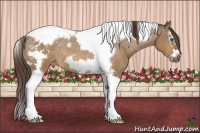 Horse Color:Bay Dun Splash Tobiano Frame Appaloosa Rabicano
