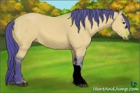 Horse Color:Watercolor Bay Dun 