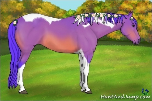 Horse Color:Watercolor Bay Tobiano