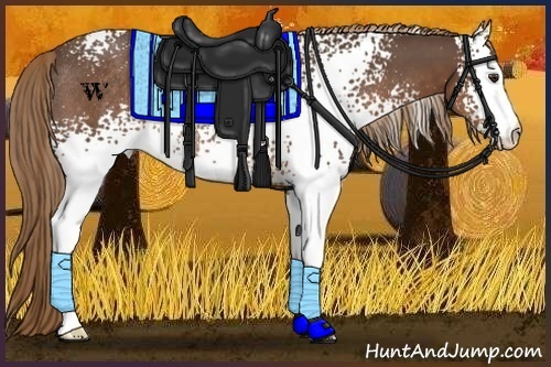 Horse Color:White Spotted Liver Chestnut Rabicano 