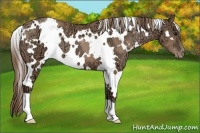 Horse Color:White Spotted Black Ice Pearl 