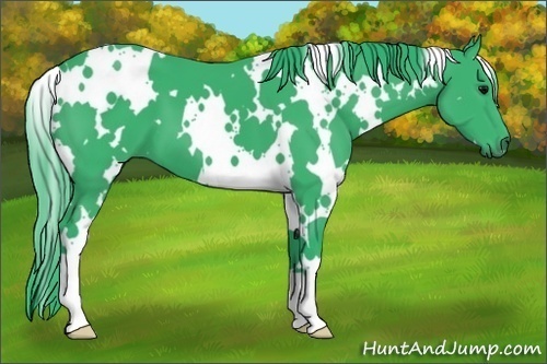 Horse Color:Watercolor White Spotted Black