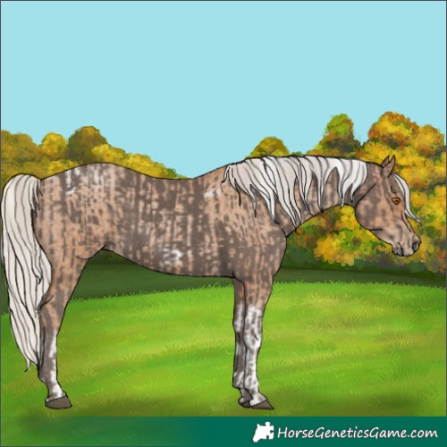 Horse Color:Silver Blue Roan Pearl Tobiano Frame and Silver Black