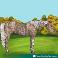 Horse Color:Silver Blue Roan Pearl Tobiano Frame  and Silver Black 