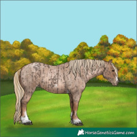 Horse Color:Silver Black and Liver Red Roan Pearl Tobiano Frame
