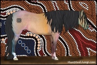 Horse Color:Bay Roan Dun 