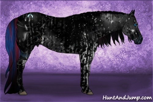 Horse Color:ERROR: UNKNOWN ANOMALY and ERROR: UNKNOWN ANOMALY