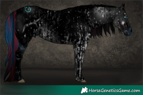 Horse Color:ERROR: UNKNOWN ANOMALY and ERROR: UNKNOWN ANOMALY