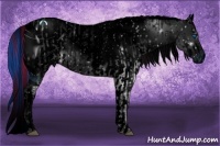 Horse Color:ERROR: UNKNOWN ANOMALY and ERROR: UNKNOWN ANOMALY