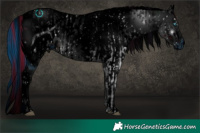 Horse Color:ERROR: UNKNOWN ANOMALY and ERROR: UNKNOWN ANOMALY