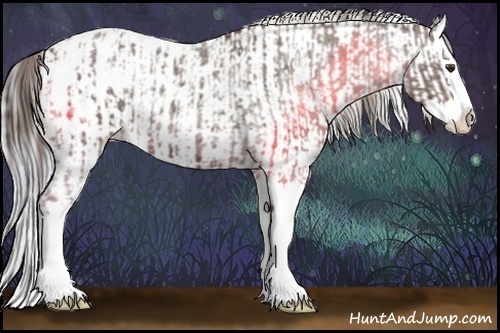 Horse Color:Liver Red Roan Sabino Splash Appaloosa  and Silver Blue Roan Sabino Splash Appaloosa 