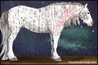 Horse Color:Liver Red Roan Sabino Splash Blanket and Silver Blue Roan Sabino Splash Blanket