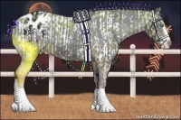 Horse Color:Perlino Sabino Splash Blanket  and Liver Chestnut Sabino Splash Varnish 