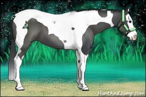 Horse Color:Black Splash Tobiano 