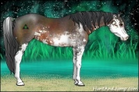 Horse Color:Brown Sabino 