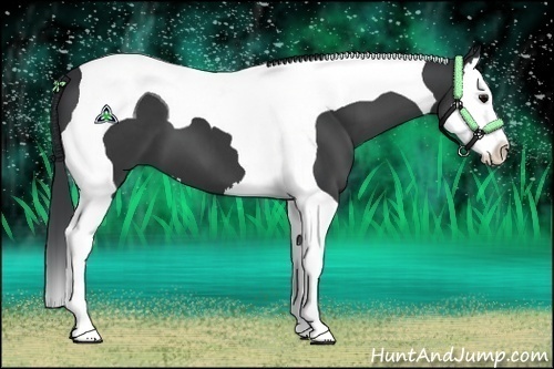 Horse Color:Black Splash Tobiano
