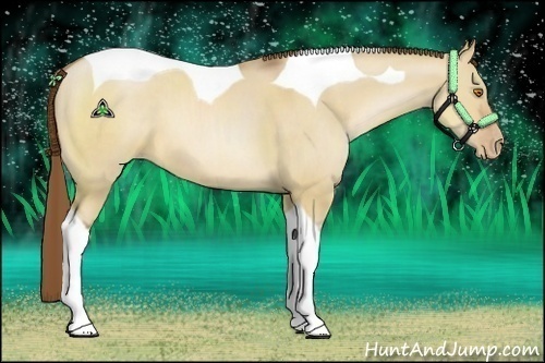 Horse Color:Brown Pearl Dun Tobiano