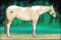 Horse Color:Brown Pearl Dun Tobiano 