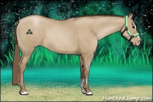 Horse Color:Grullo Pearl Sabino 