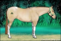 Horse Color:Brown Pearl Dun Tobiano 