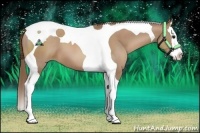 Horse Color:Black Pearl Splash Tobiano 