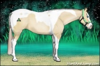 Horse Color:Brown Pearl Dun Splash Tobiano 