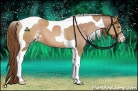 Horse Color:Brown Pearl Sabino Tobiano 