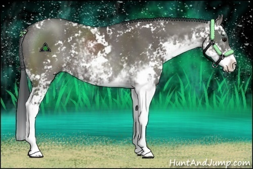 Horse Color:Grullo Sabino