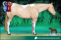 Horse Color:Brown Pearl Dun Tobiano
