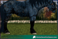 Horse Color:ERROR: UNKNOWN ANOMALY