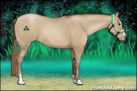 Horse Color:Grullo Pearl Sabino