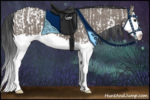 Horse Color:Grullo Sabino  and Grullo Splash 