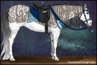 Horse Color:Grullo Sabino  and Grullo Splash 