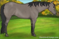 Horse Color:Grullo Brindle 