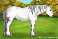 Horse Color:Bay Roan Sabino Splash Frame Rabicano