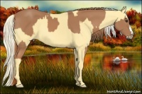 Horse Color:Chestnut  and Palomino 